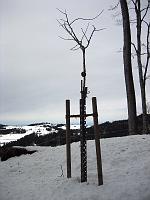  6. Dezember 2009 - nun ist Winter auf der Landmark